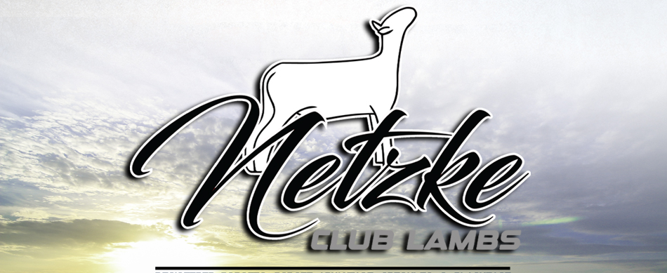 Netzke Club Lambs