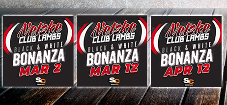 Netzke Club Lambs