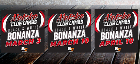 Netzke Club Lambs